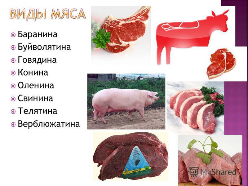 Схема слова мясо