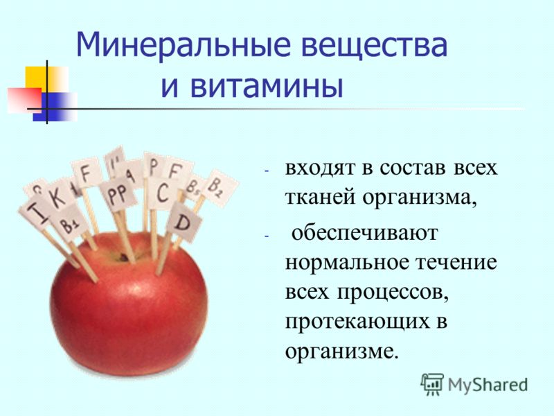 Минеральные вещества