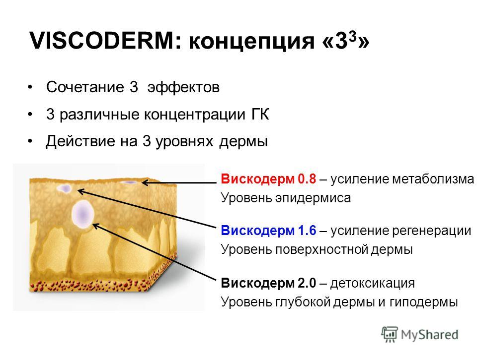 Рассмотрите рисунок 90 найдите эпидермис дерма и гиподерма расскажите об их строении и функциях