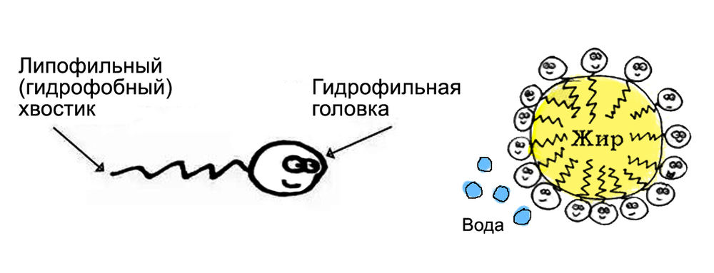 Бывают шампуни. Бывают кондиционеры. А в шампунь-кондиционер я не верю!, фото № 2