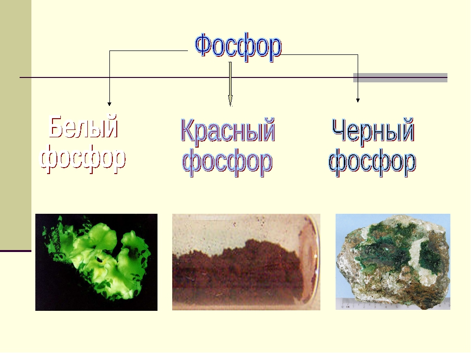 Фосфор 0. Разновидности фосфора. Белый и красный фосфор. Фосфор белый красный черный. Красный белый черный желтый фосфор.