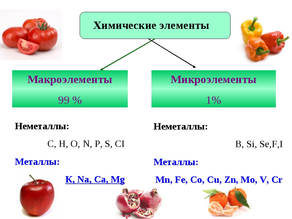 Презентация на тему химические элементы в организме человека