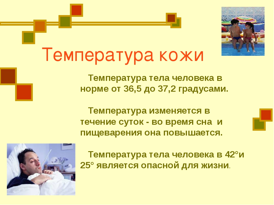 Что означает кожи. Проект на тему кожа человека. Кожа человека презентация. Презентация кожа человека 3 класс. Сообщение на тему защита организма.