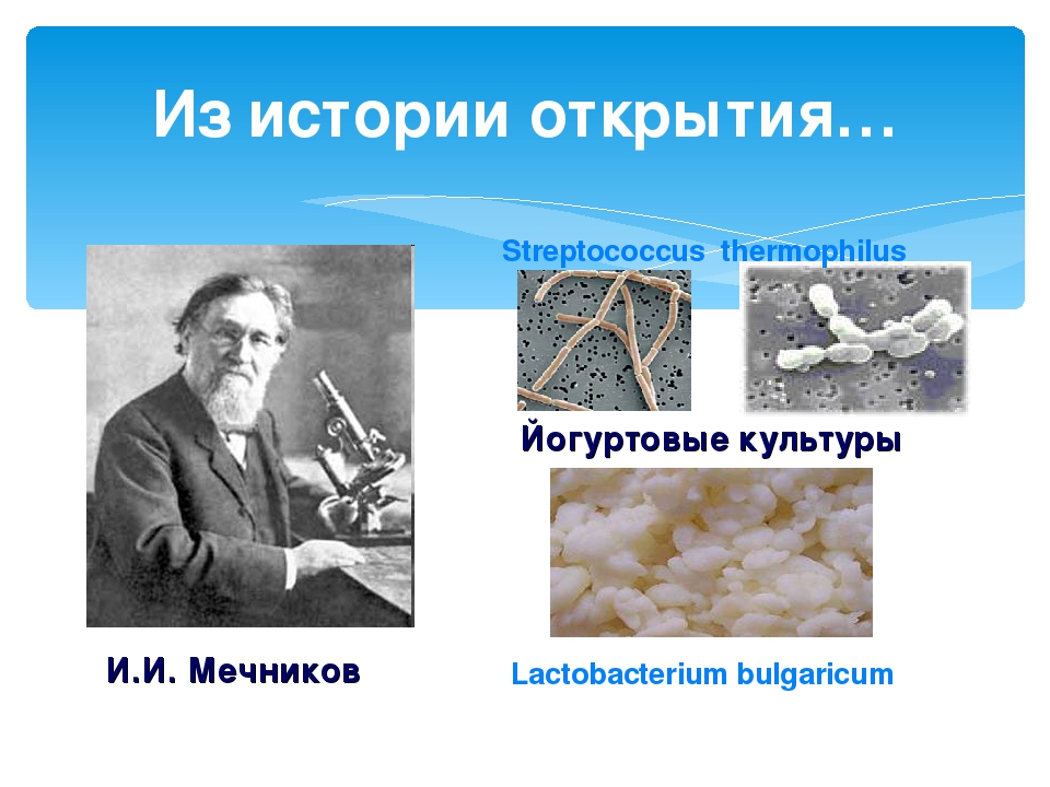 Изобретатели кефира. Илья Ильич Мечников йогурт. Мечников кисломолочные продукты. Мечников болгарская палочка. Мечников опыт.