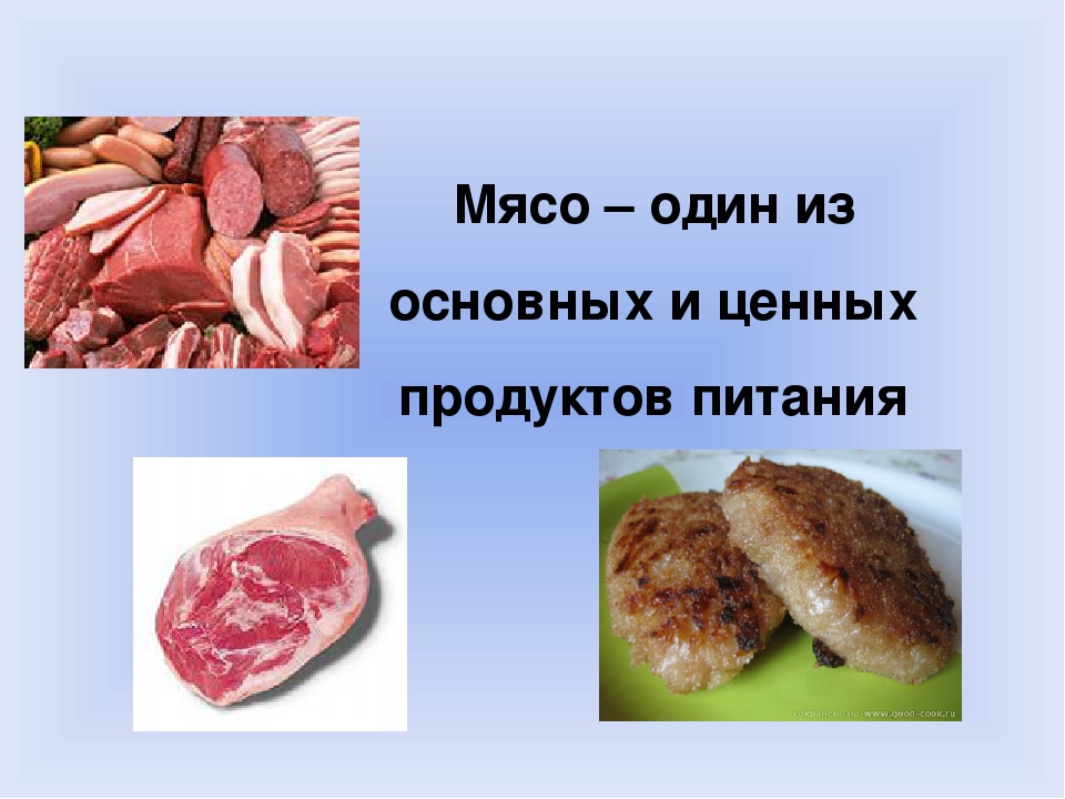 Презентация мясные продукты