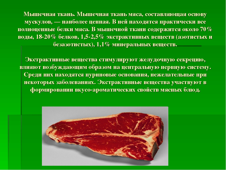 Почему мясо желтое. Структура мышечной ткани говядины. Разновидности основных тканей мяса. Состав мышечной ткани мяса.