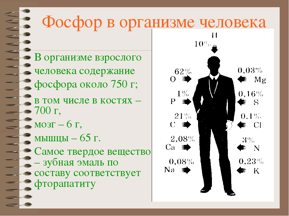 Количество фосфора. Фосфор в организме человека. Ролфосфораворганизмечеловека. Роль фосфора в организме человека. Функции фосфора в организме человека.