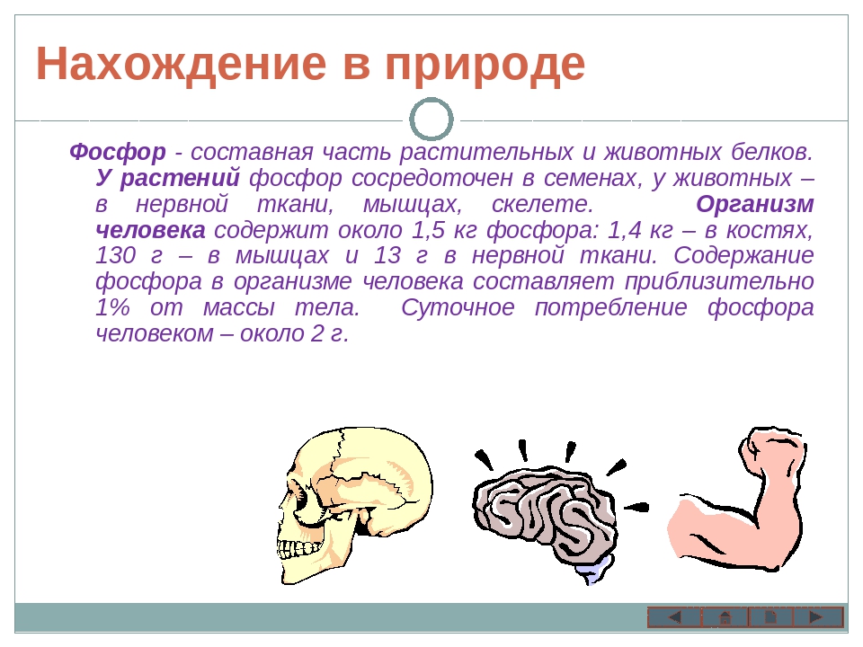 Поступление фосфора из окружающей среды в организм