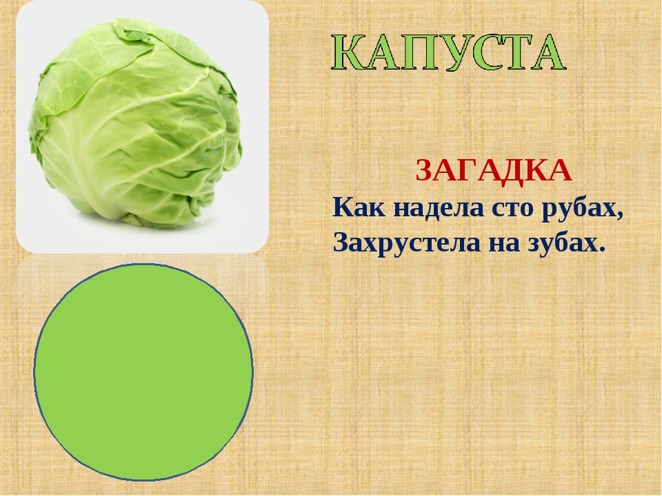 Загадка капуста для детей. Загадка про капусту. Загадка про капусту для детей. Капуста загадки про капусту. Детские загадки про капусту.