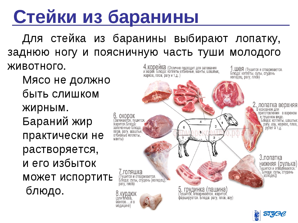 Какое мясо нужно есть. Схема разделки мяса баранины. Схема разруба туши баранины. Баранина как называются части туши.