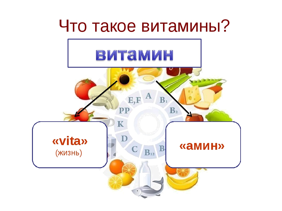 Что такое витамины. Вита. Витамины определение для детей. Что такие витамины.