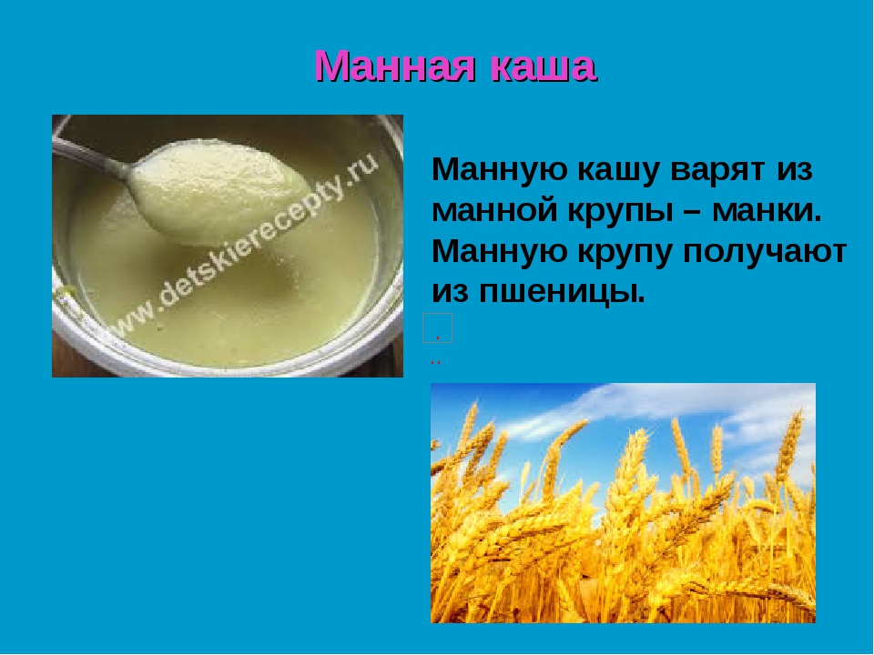 Из каких растений получают крупу для манной каши