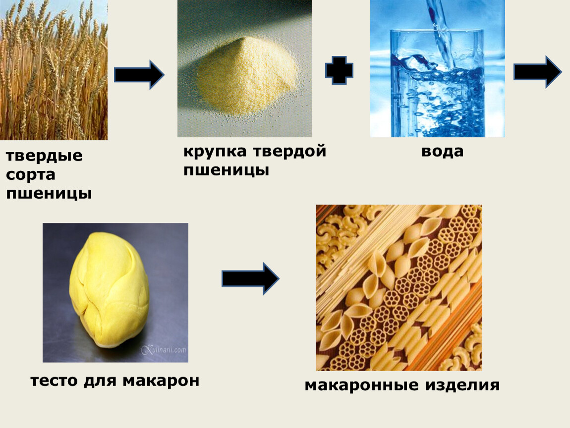 Технология производства макаронных изделий технология 6 класс. Технология изделия макарон. Твердые сорта пшеницы. Проект макаронные изделия. Макароны для презентации.