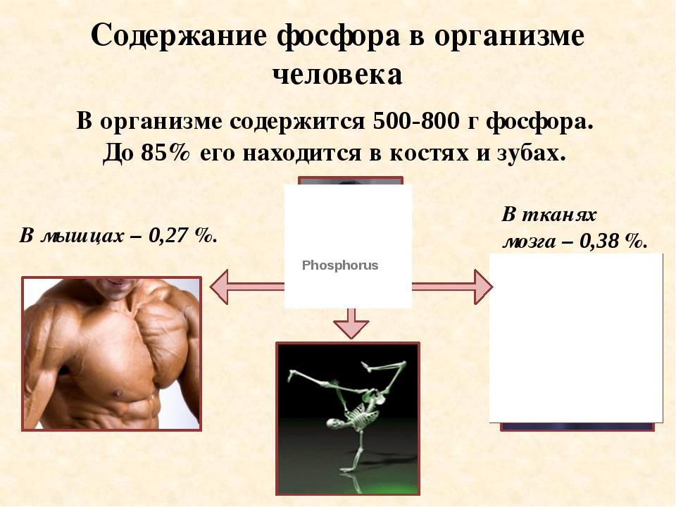 Фосфор 7. Содержание фосфора в организме. Соединения фосфора в организме. Фосфор в человеческом организме. Роль фосфора в организме человека.