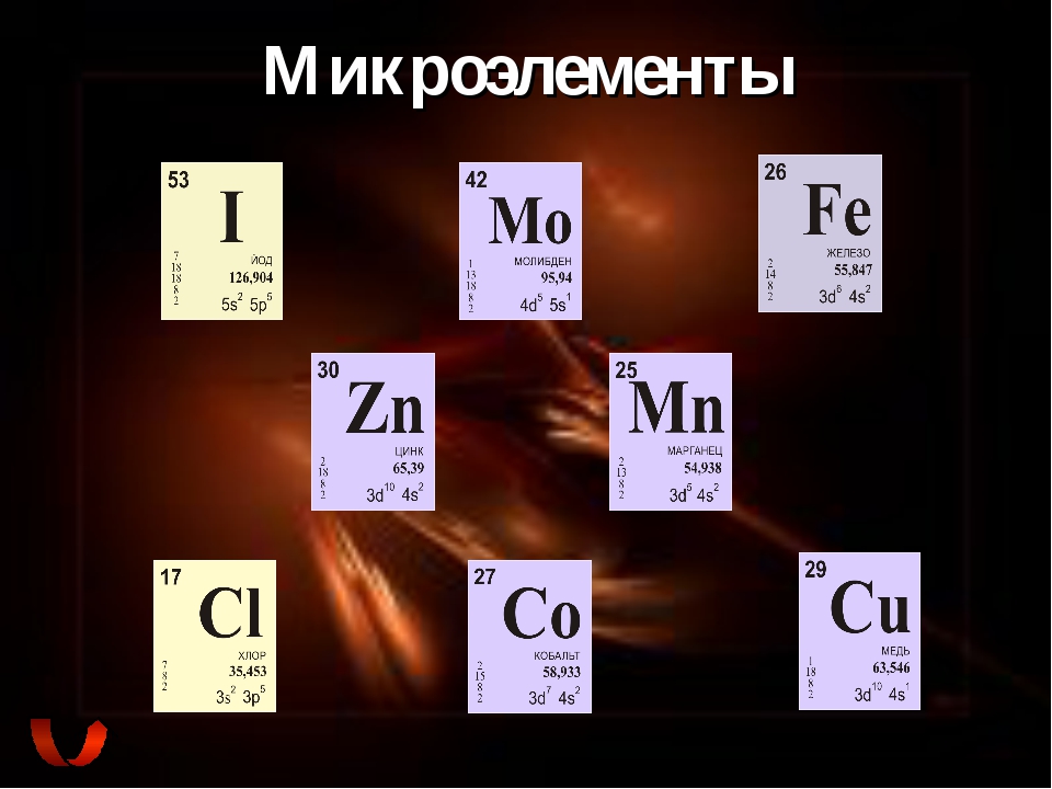 Белок является микроэлементом