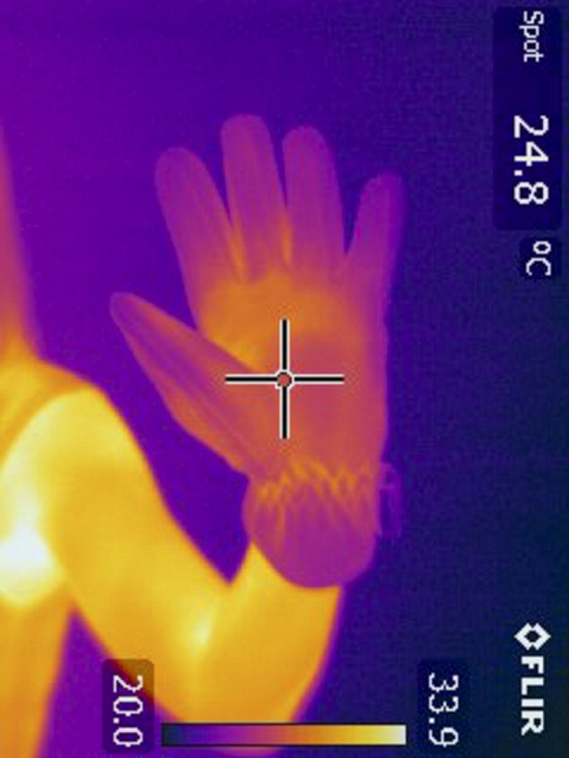 My hand gets cold, but not burningly so, and when I take it out, I find the temperature has dropped 4.2 degrees, going from 22.9c to 18.7c. There appears to be a lot of heat lost from my palms in the thermal image