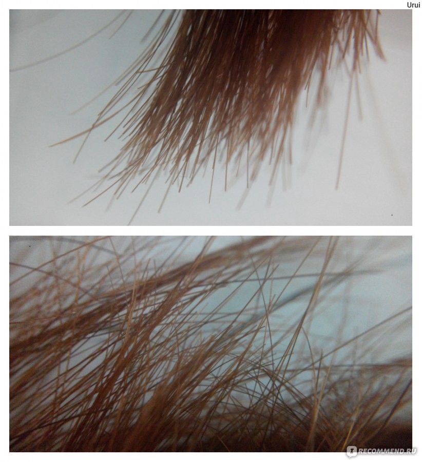Какие волосы секутся. Секущиеся кончики волос. Сечение волос. Длинные секущиеся волосы. Виды секущихся кончиков.