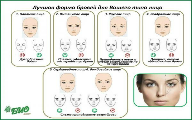 Подобрать форму бровей по типу лица по фото