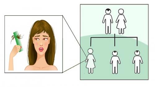 От чего у девушки выпадают волосы. Почему очень сильно выпадают волосы — основные причины 08