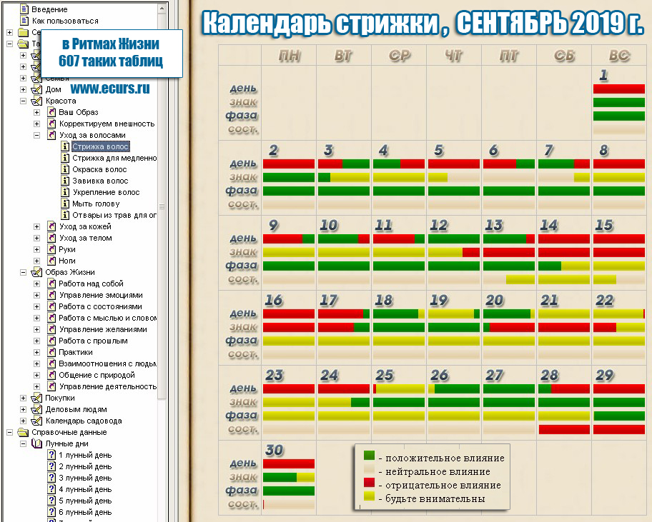 Дни для стрижки и окрашивания