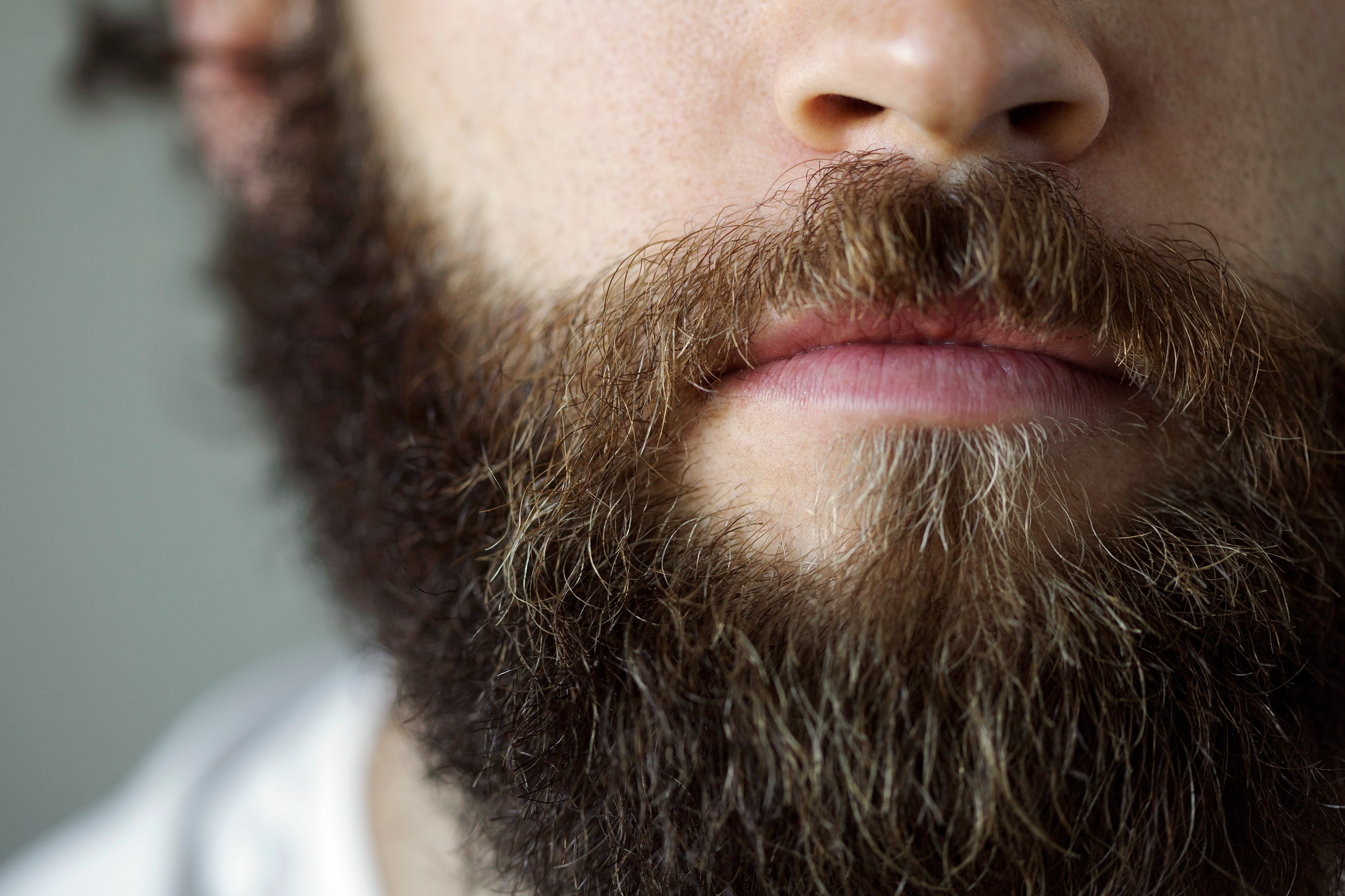 Как правильно отрастить рыжую бороду