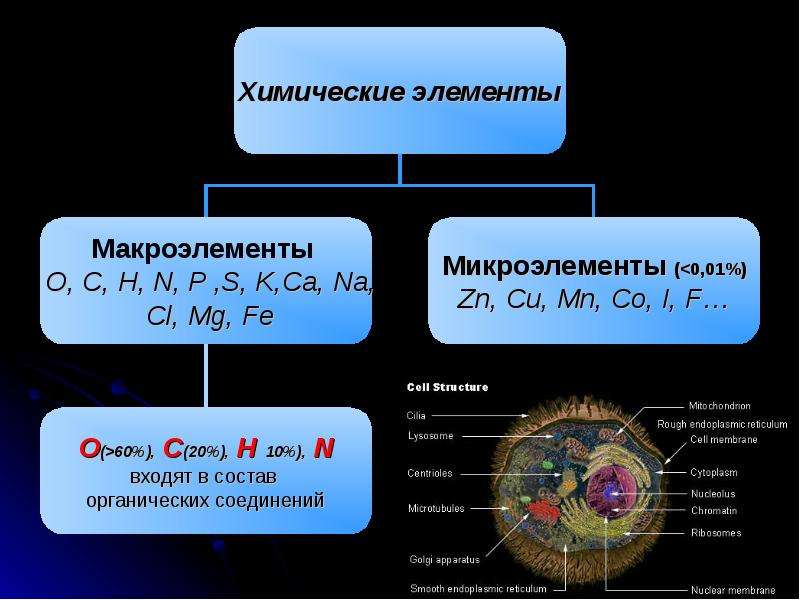 Микроэлементы и микроэлементы презентация