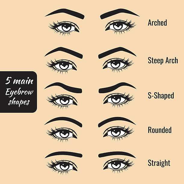 Types of eyebrow shapes
