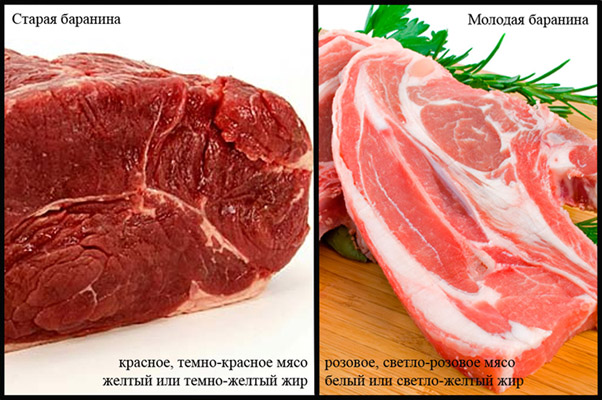 Как отличить свинину. Как отличить говядину. Отличие мяса свинины от говядины. Цвет мяса говядины.