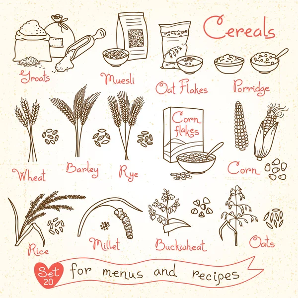 Set drawings of cereals for design menus, recipes and packing. Flakes, groats, porridge, muesli, cornflakes, oat, rye, wheat, barley, millet, buckwheat, rice, corn Royalty Free Stock Vectors