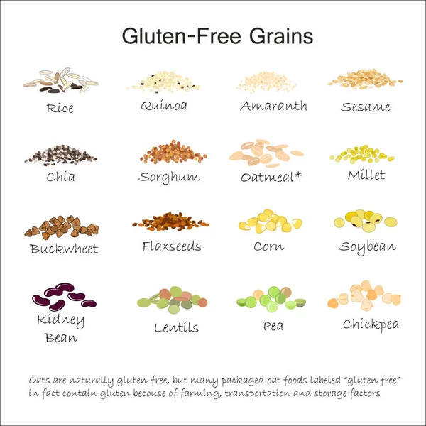 A variety of gluten free grains. Buckwheat, amaranth, rice, millet, sorghum, quinoa, chia seeds, flax seeds, sezam, oatmeal, legumes. Vector illustration Royalty Free Stock Vectors