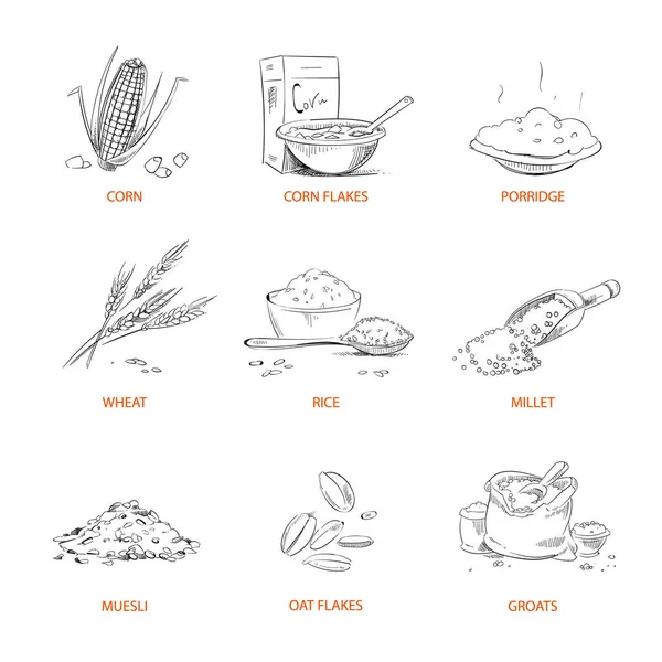 Doodle cereals groats, porridge, muesli, cornflakes, oat, rye, wheat, barley, millet, buckwheat, rice, corn vector set Royalty Free Stock Illustrations