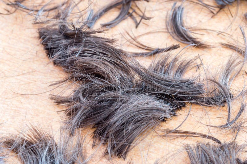 Волосы на полу в парикмахерской фото