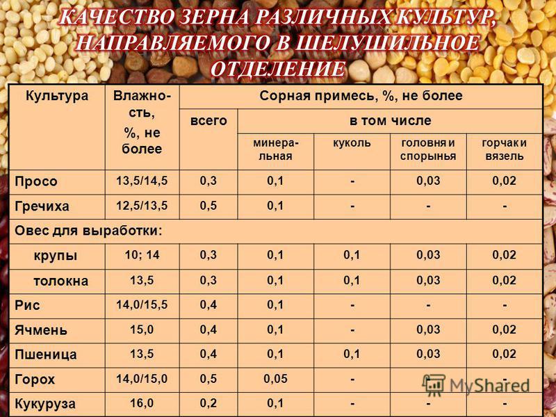 Таблицу зерновых. Влажность фуражного зерна для хранения. Таблица хранения зерновых. Таблица влажности зерновых культур. Нормы влажности для зерновых культур.