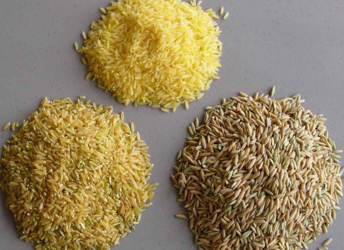 польза бурого риса
