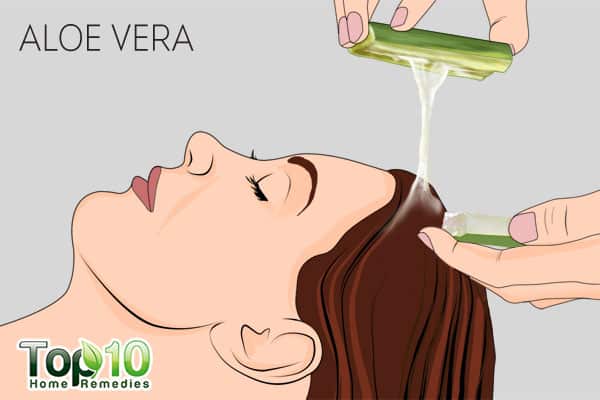Use aloe vera to treat scalp sores