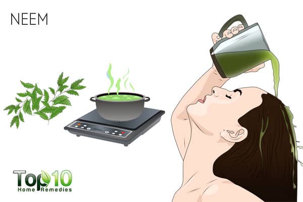 Use neem to treat scalp sores